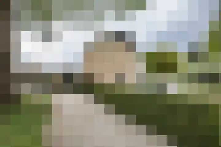 Hortensiastraat 16 Wierden thumbnail 54