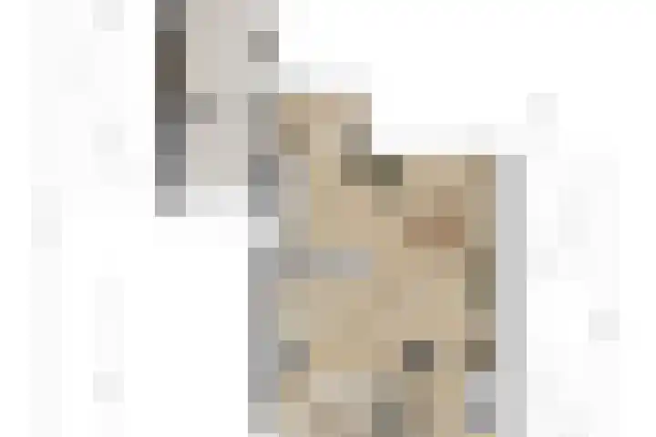 Hortensiastraat 16 Wierden thumbnail 55