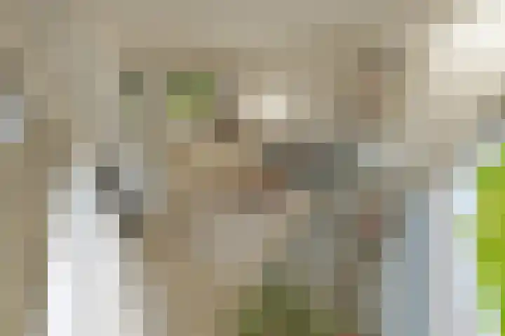 Hortensiastraat 16 Wierden thumbnail 59