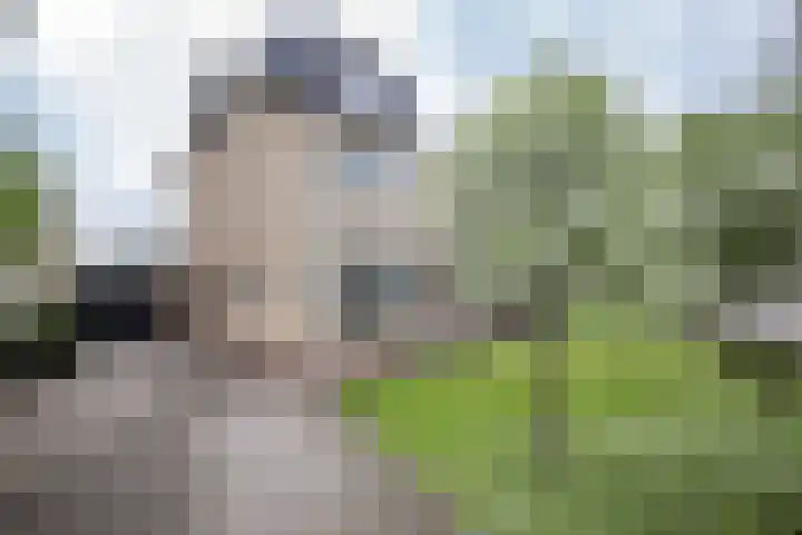 Hortensiastraat 16 Wierden thumbnail 6