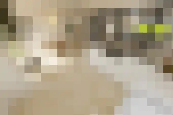 Hortensiastraat 16 Wierden thumbnail 60