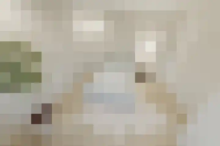 Hortensiastraat 16 Wierden thumbnail 61
