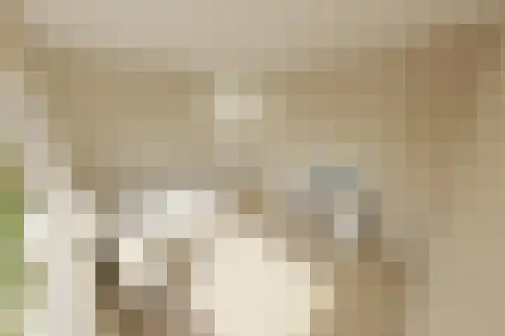 Hortensiastraat 16 Wierden thumbnail 62