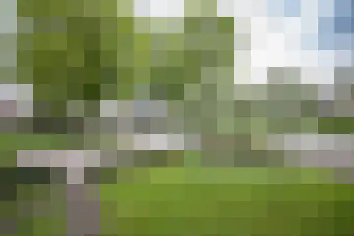Hortensiastraat 16 Wierden thumbnail 7