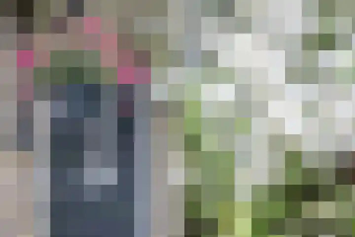 Hortensiastraat 16 Wierden thumbnail 8