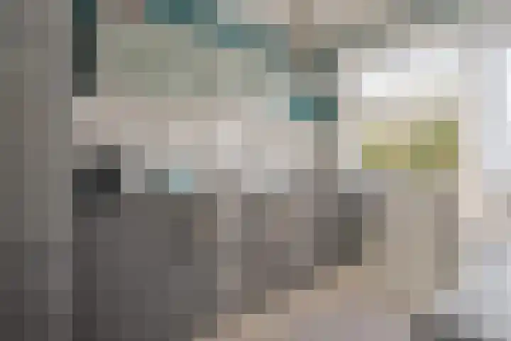 Hortensiastraat 18 Assen thumbnail 30