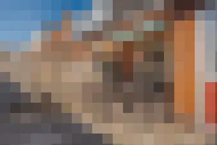 Hortensiastraat 18 Assen thumbnail 34