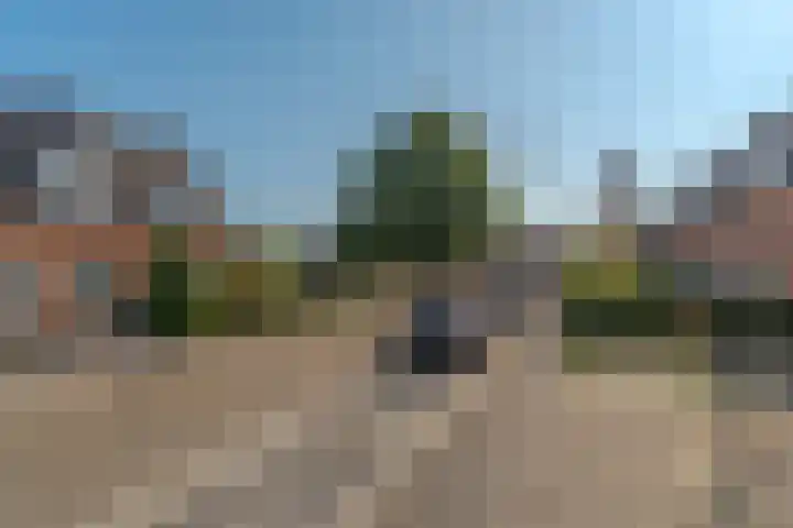 Hortensiastraat 18 Assen thumbnail 4