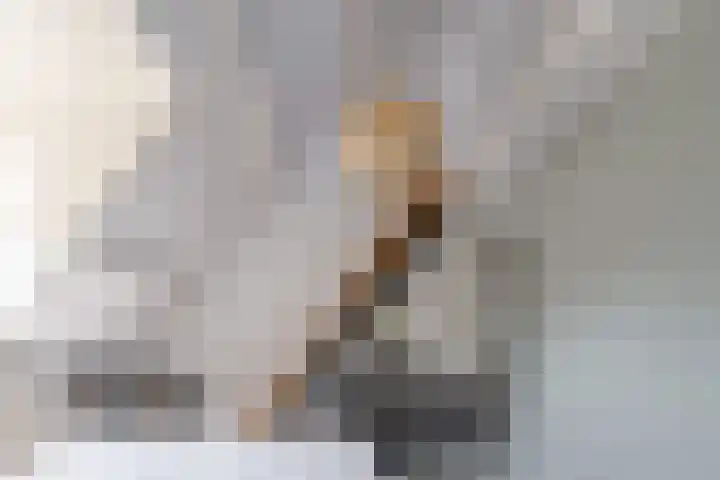 Hortensiastraat 18 Assen thumbnail 47