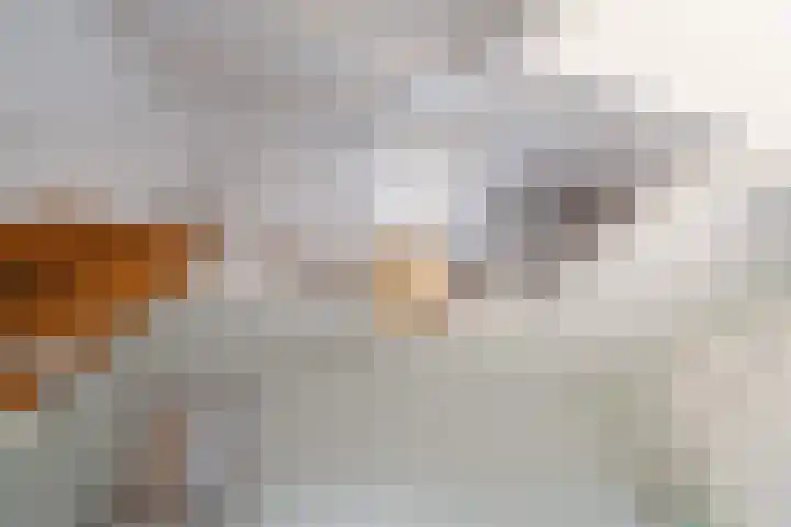 Hortensiastraat 18 Assen thumbnail 48
