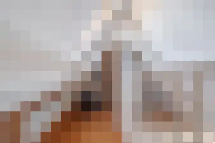 Hortensiastraat 18 Assen thumbnail 49