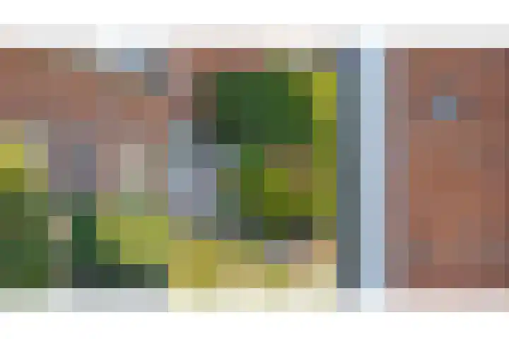 Hortensiastraat 18 Assen thumbnail 5