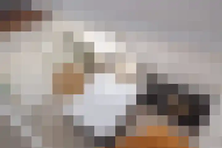 Hortensiastraat 18 Assen thumbnail 50