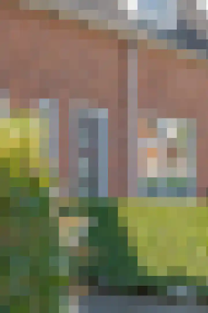 Hortensiastraat 18 Assen thumbnail 6
