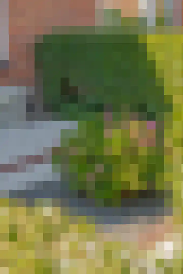 Hortensiastraat 18 Assen thumbnail 7