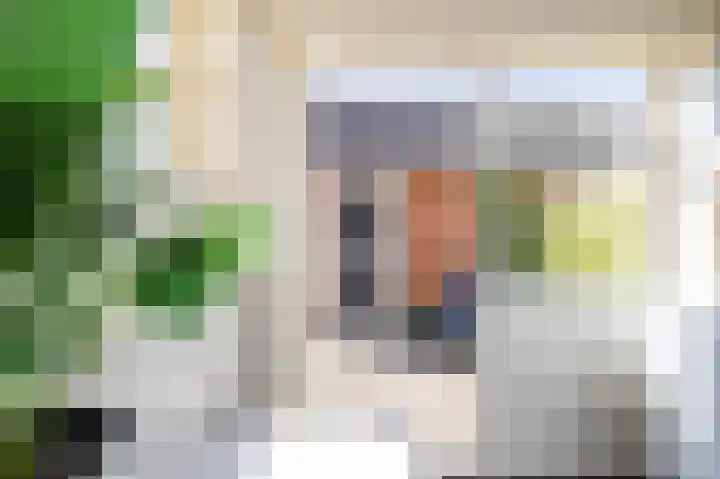 Hortensiastraat 20 Assen thumbnail 20