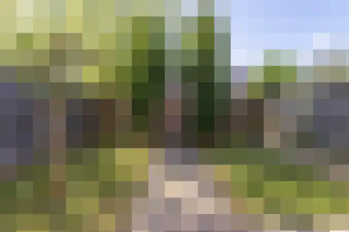 Hortensiastraat 20 Assen thumbnail 23