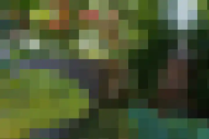 Hortensiastraat 20 Assen thumbnail 24