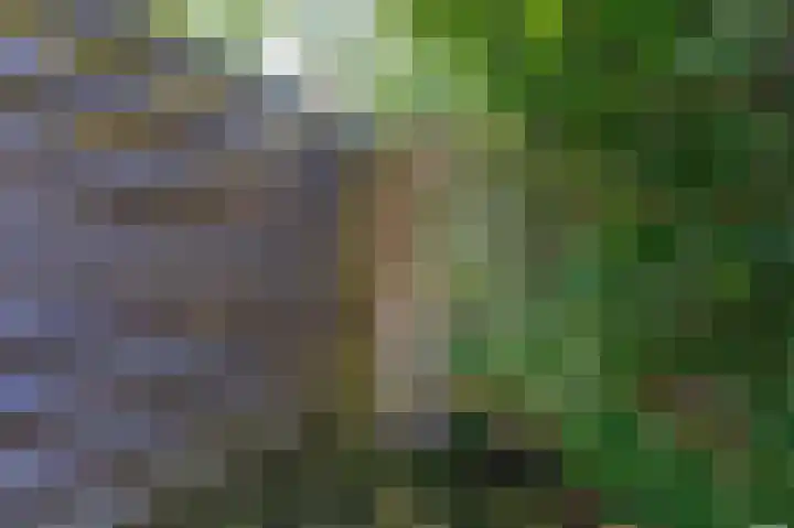 Hortensiastraat 20 Assen thumbnail 25
