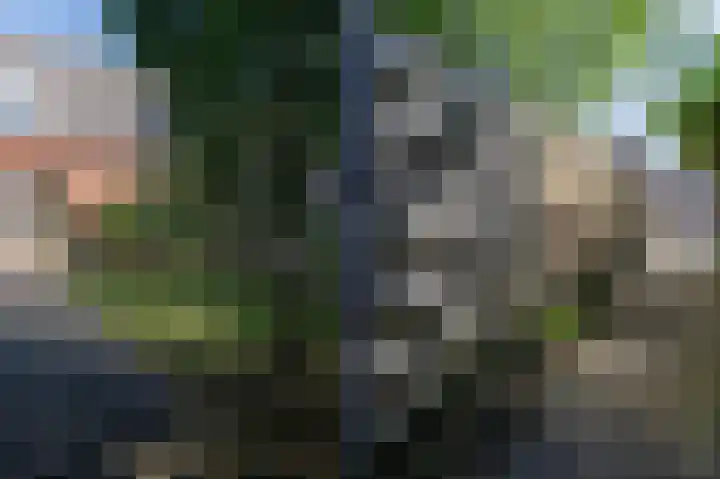 Hortensiastraat 20 Assen thumbnail 27