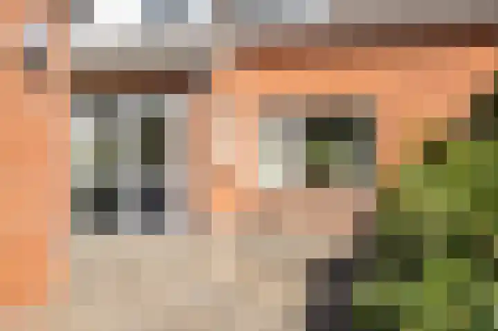 Hortensiastraat 20 Assen thumbnail 31