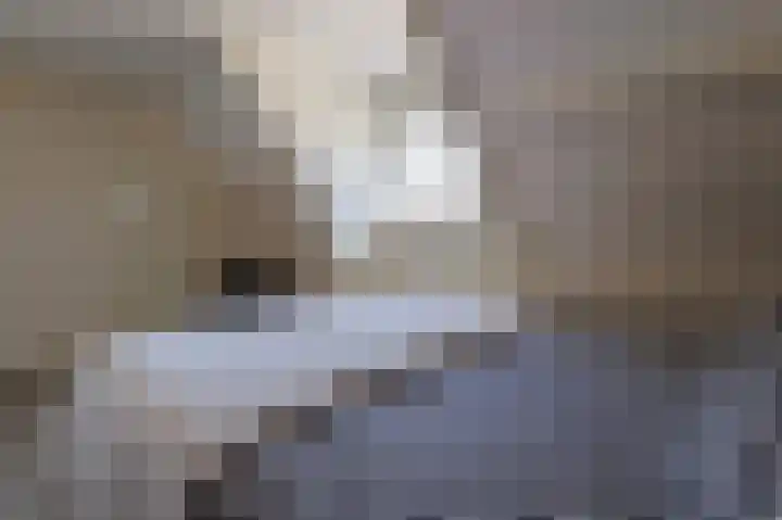 Hortensiastraat 20 Assen thumbnail 34