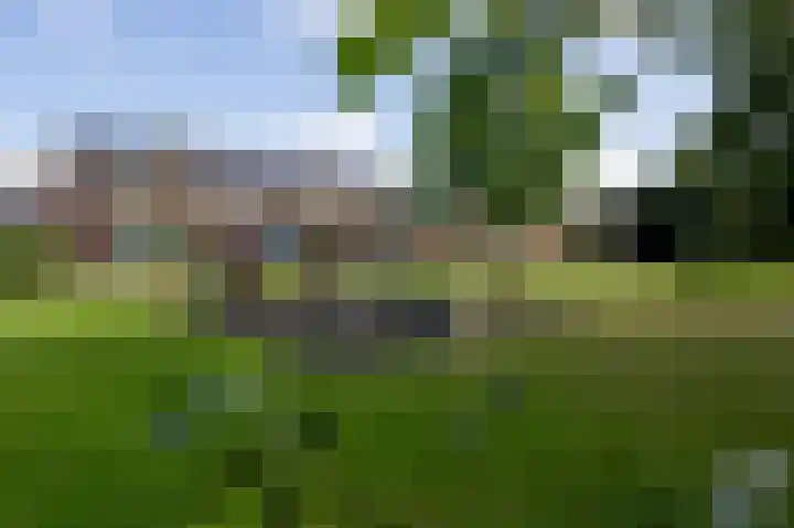 Hortensiastraat 20 Assen thumbnail 48