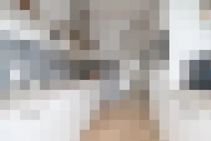 Hortensiastraat 20 Bovensmilde thumbnail 13