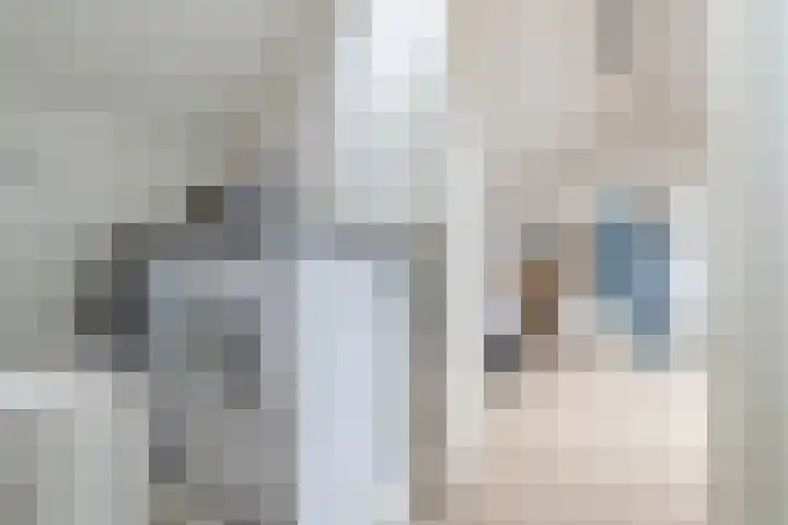 Hortensiastraat 20 Bovensmilde thumbnail 24
