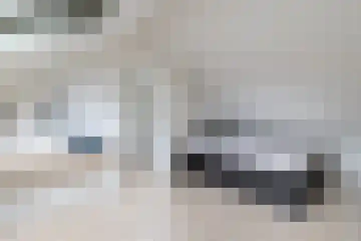 Hortensiastraat 20 Bovensmilde thumbnail 26