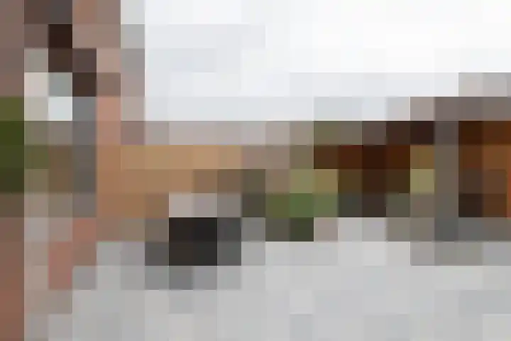 Hortensiastraat 20 Bovensmilde thumbnail 28