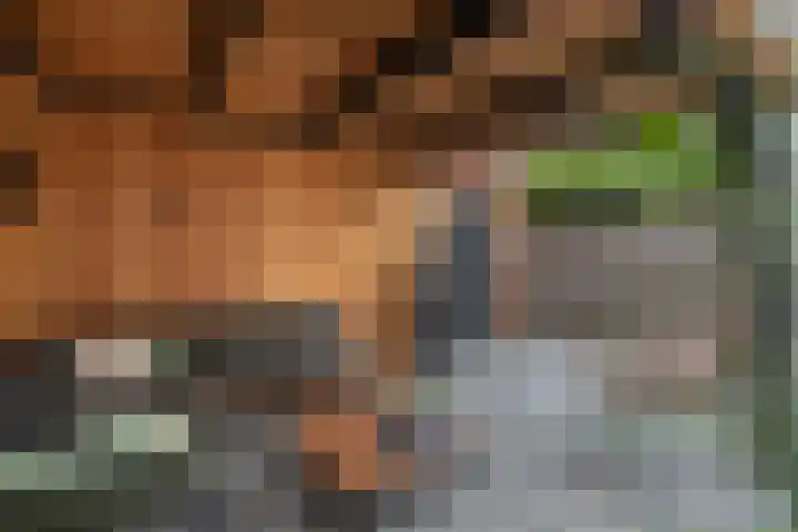 Hortensiastraat 20 Bovensmilde thumbnail 32
