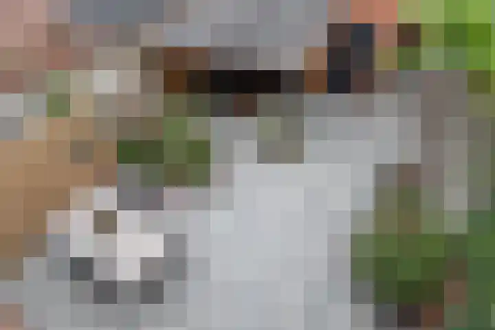 Hortensiastraat 20 Bovensmilde thumbnail 34