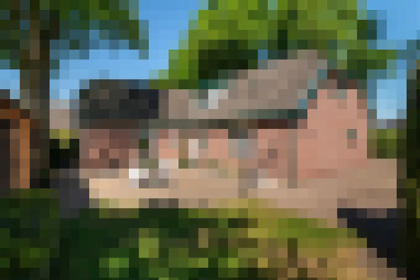 Hortensiastraat 20 Ederveen thumbnail 34