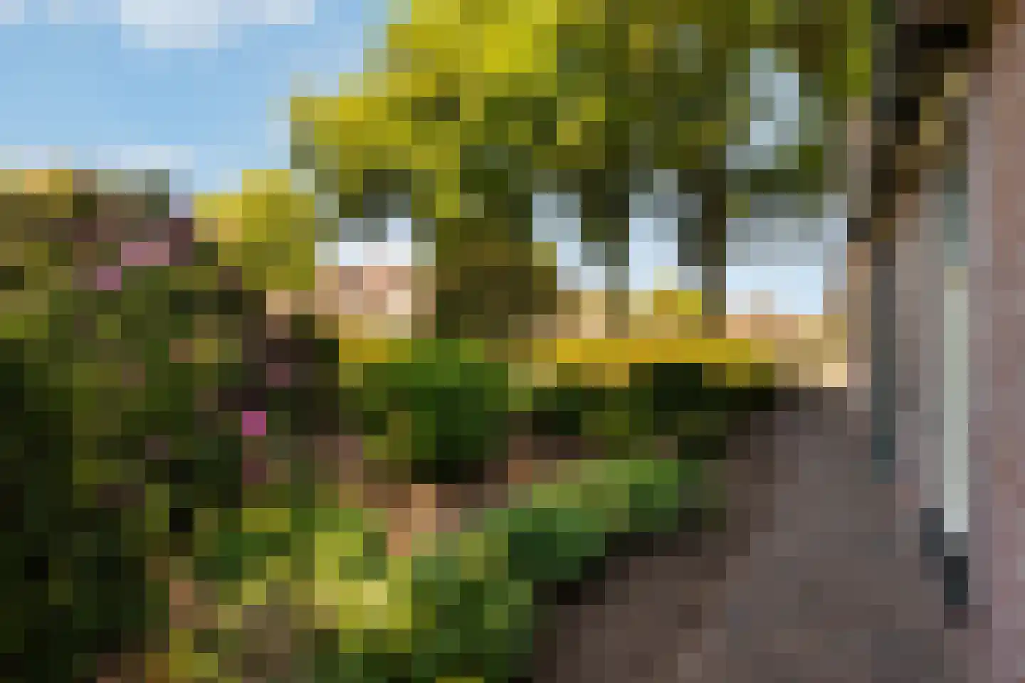 Hortensiastraat 20 Ederveen thumbnail 58