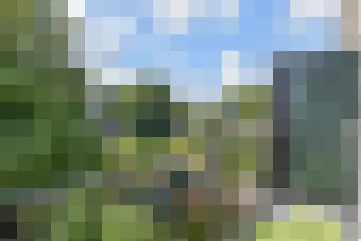 Hortensiastraat 204 Den Haag thumbnail 15