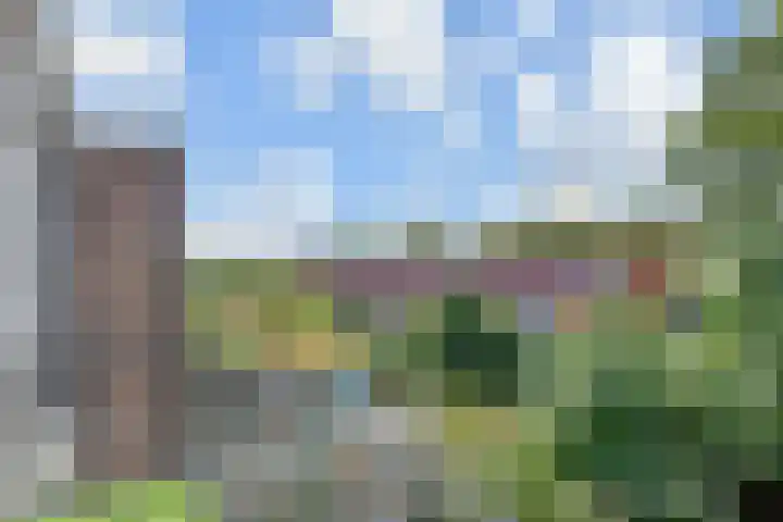 Hortensiastraat 204 Den Haag thumbnail 17