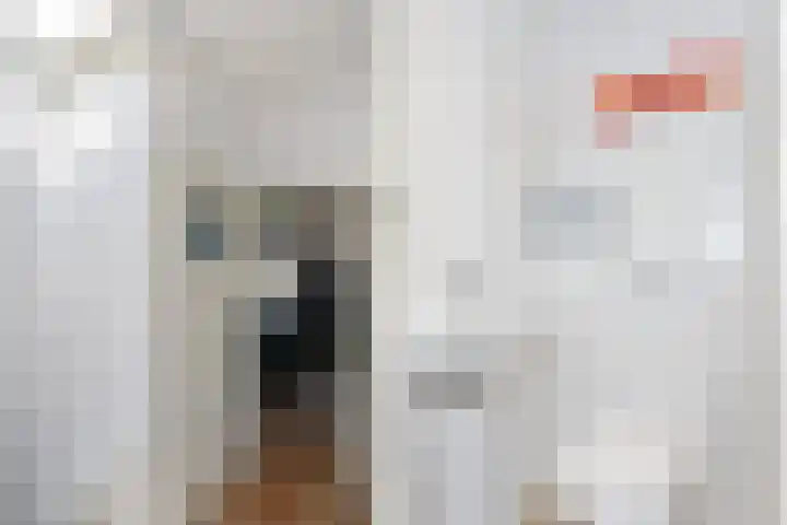 Hortensiastraat 204 Den Haag thumbnail 23