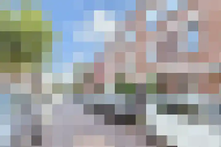 Hortensiastraat 204 Den Haag thumbnail 29
