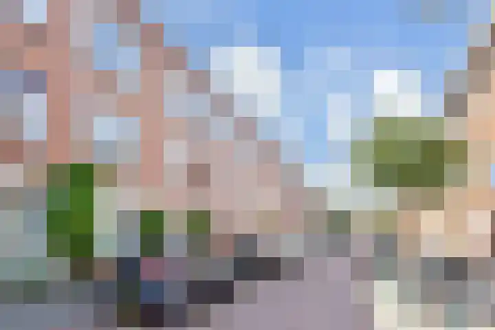 Hortensiastraat 204 Den Haag thumbnail 30