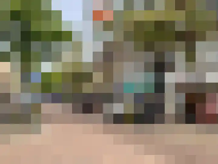 Hortensiastraat 204 Den Haag thumbnail 32