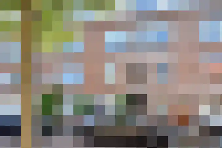 Hortensiastraat 204 Den Haag thumbnail 4