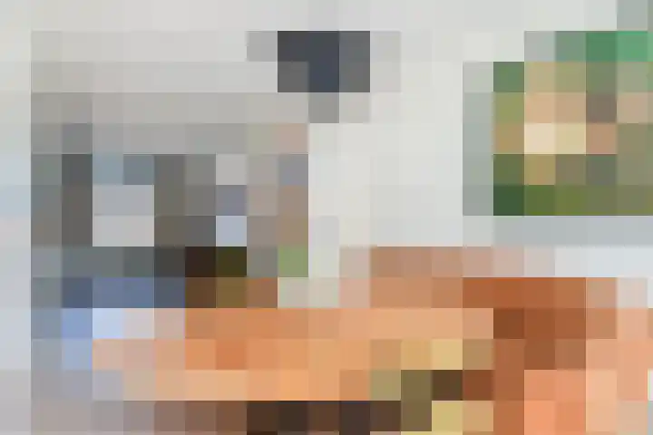 Hortensiastraat 204 Den Haag thumbnail 6