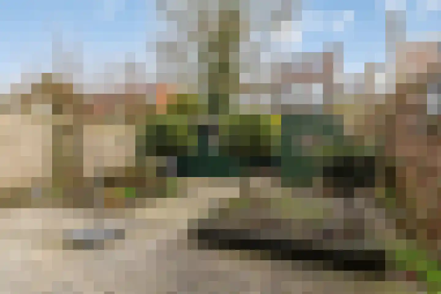 Hortensiastraat 210 Den Haag thumbnail 16