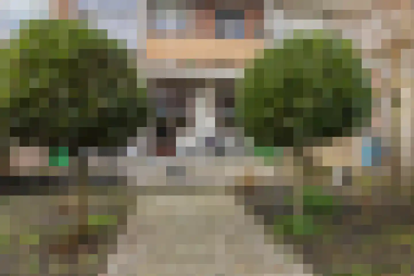 Hortensiastraat 210 Den Haag thumbnail 22