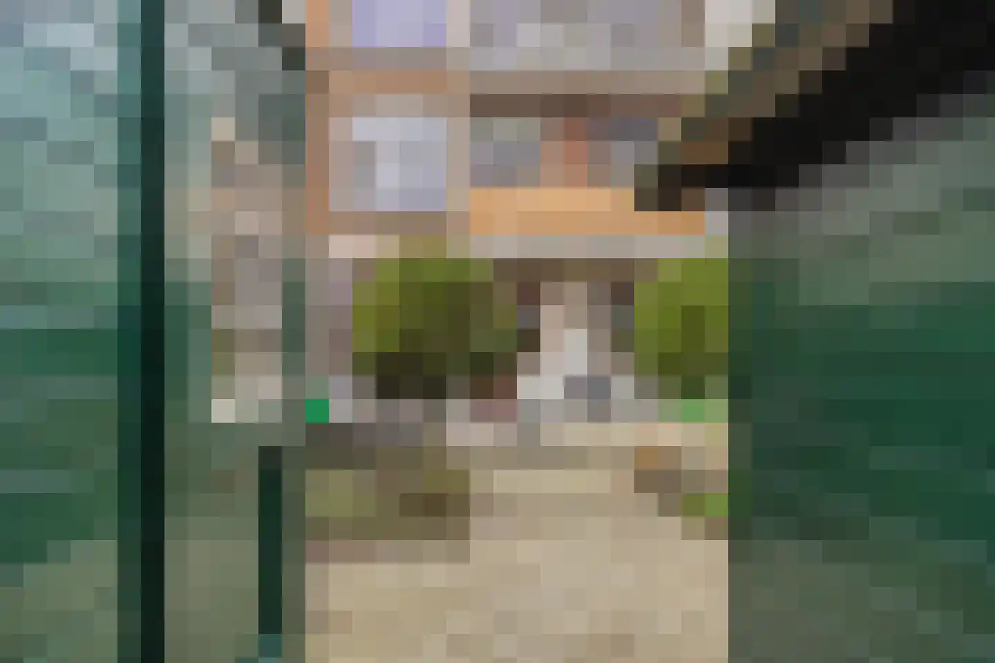 Hortensiastraat 210 Den Haag thumbnail 23