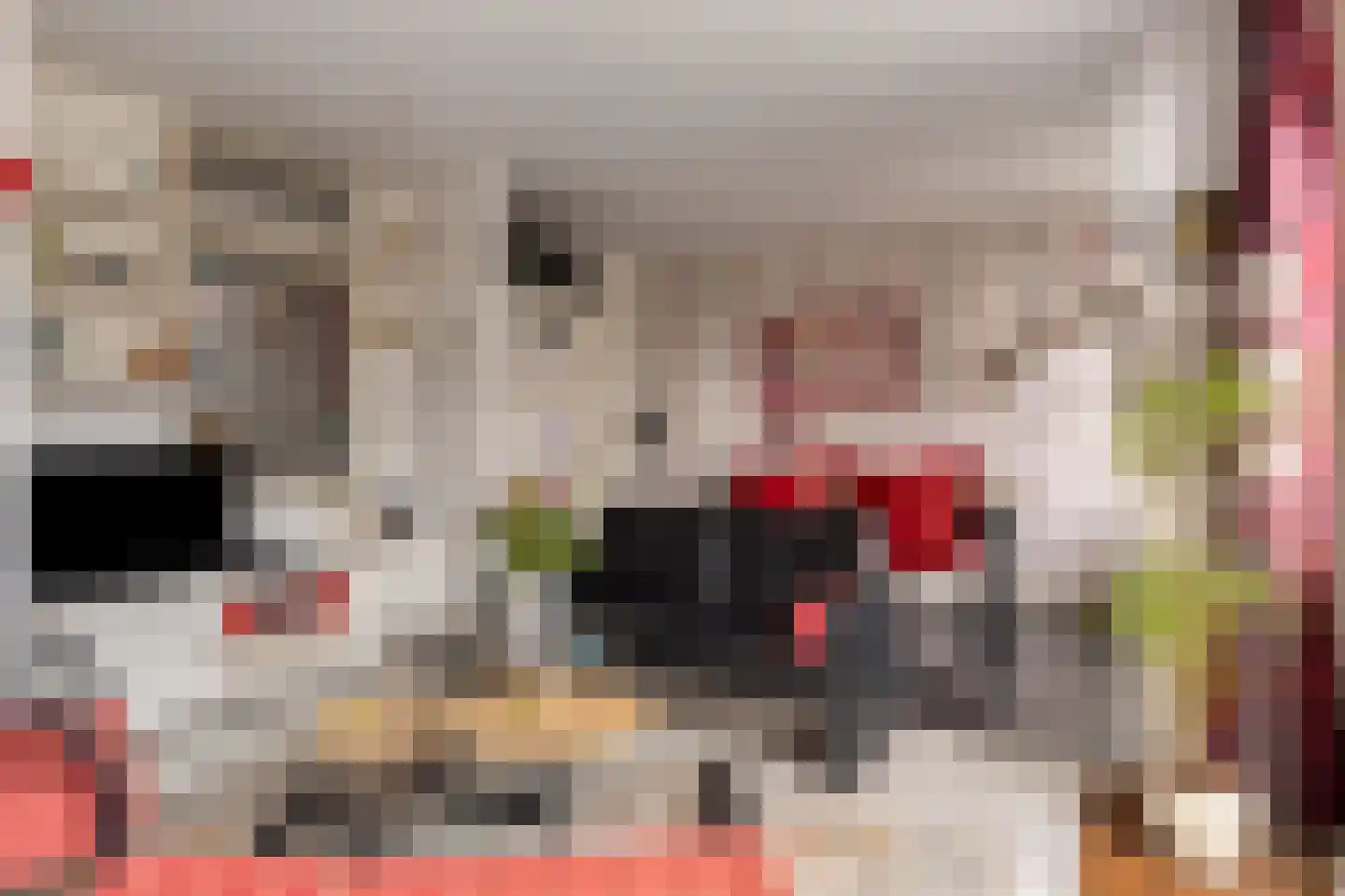 Hortensiastraat 210 Den Haag thumbnail 7