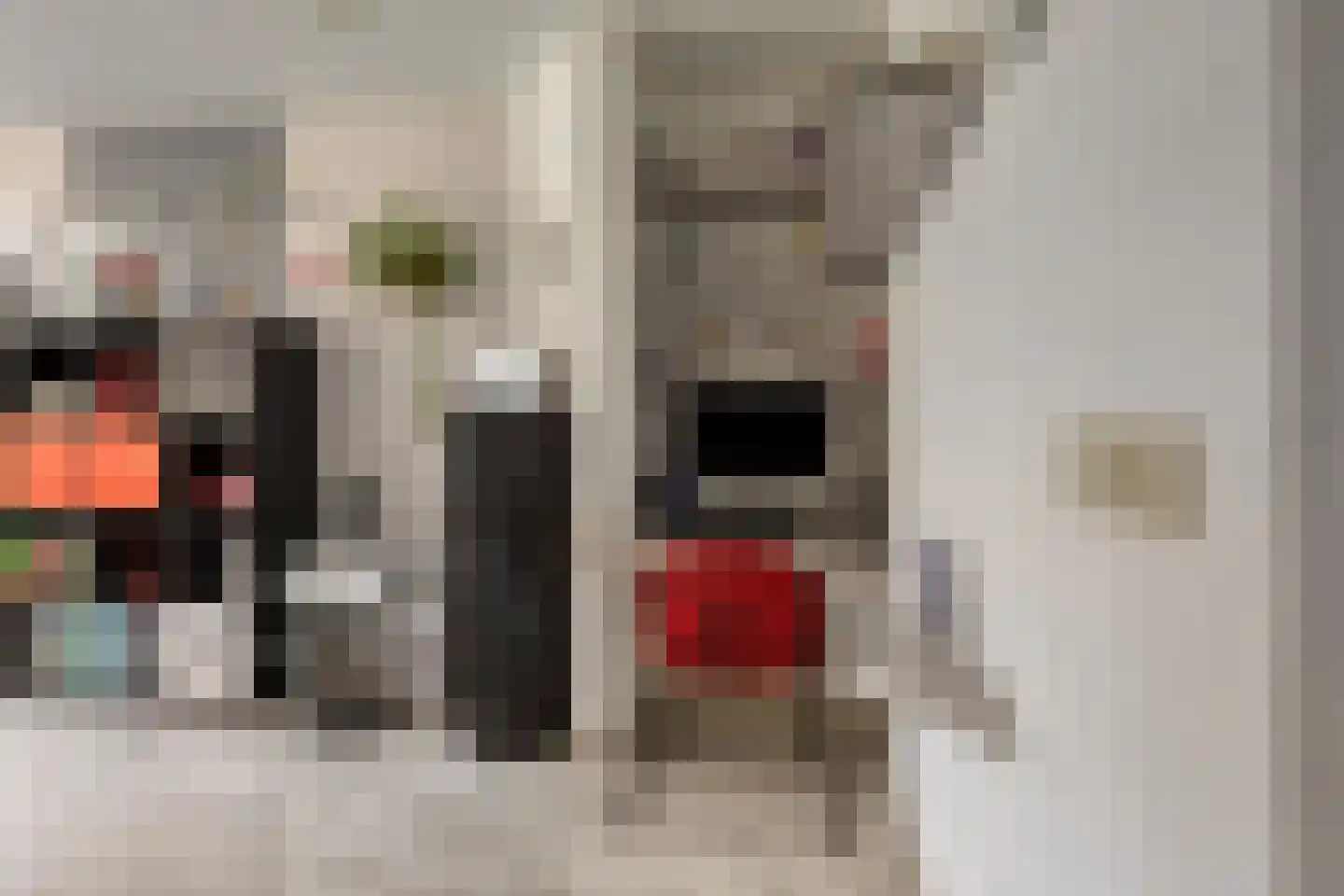 Hortensiastraat 210 Den Haag thumbnail 8