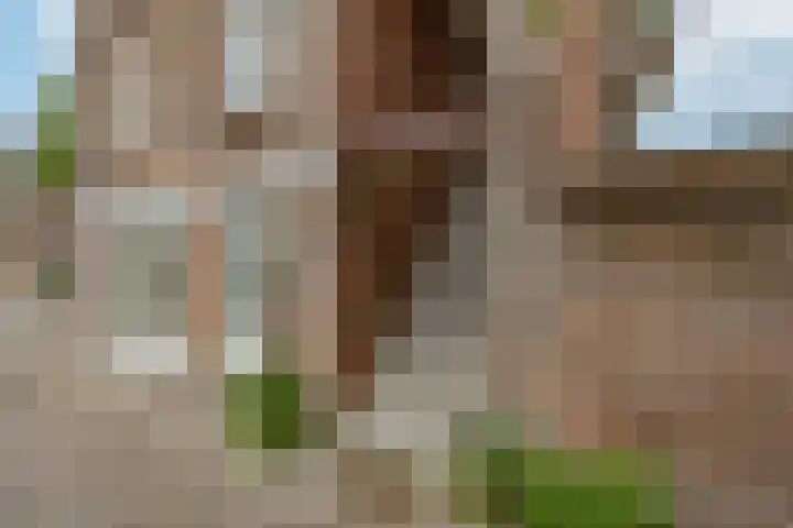 Hortensiastraat 211 Den Haag thumbnail 13