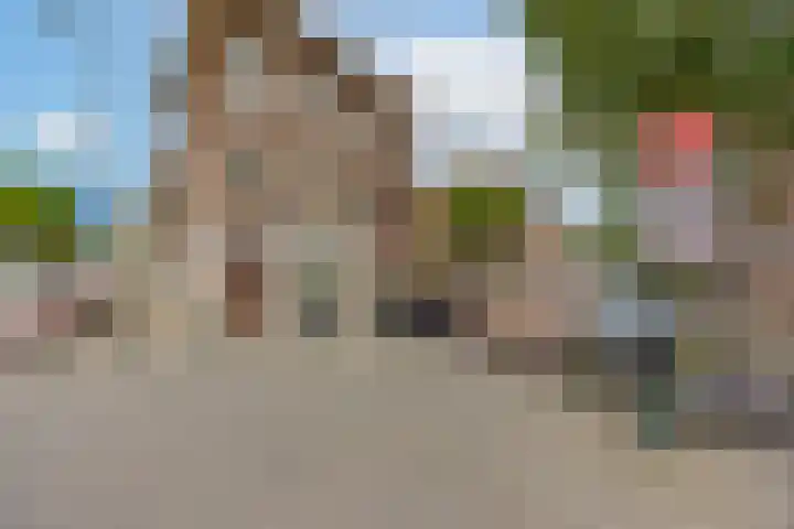 Hortensiastraat 211 Den Haag thumbnail 14